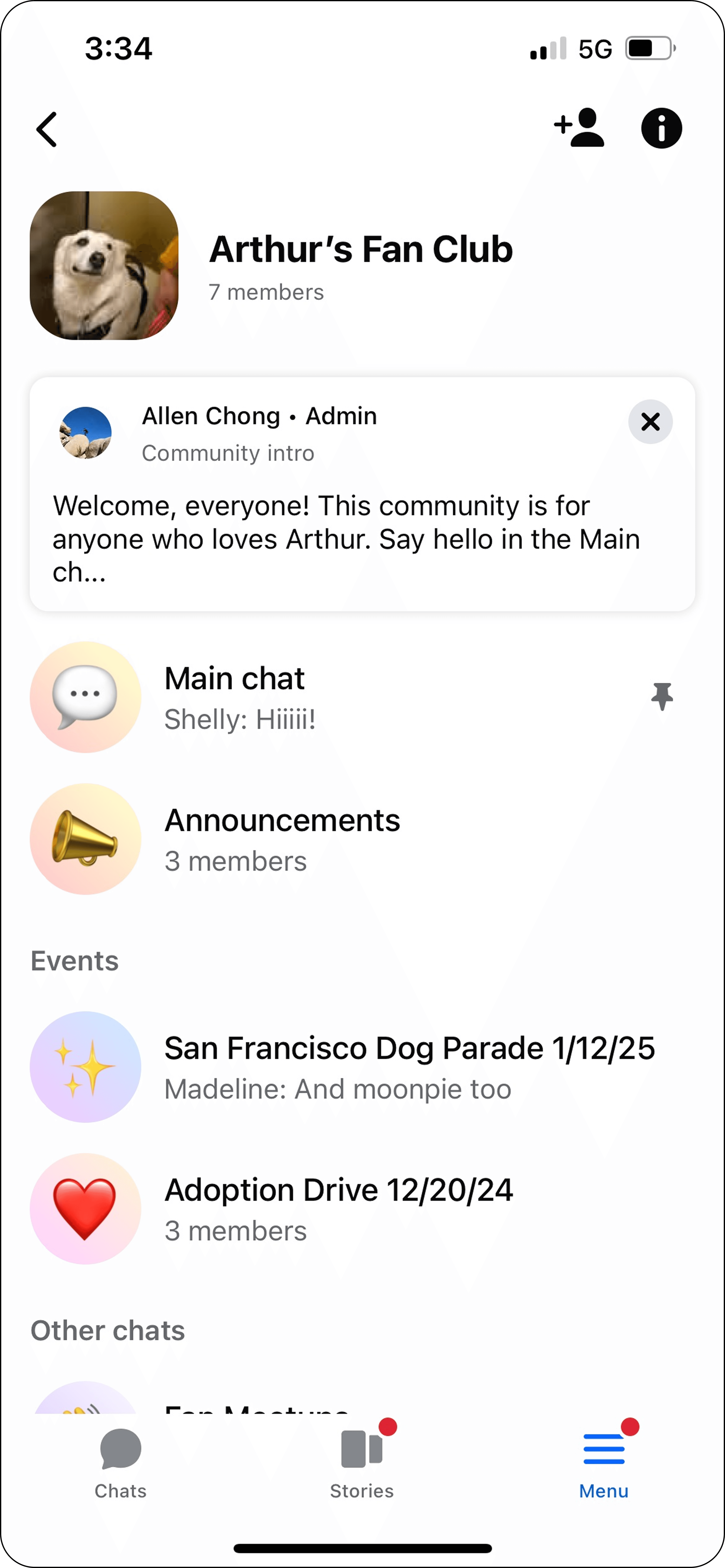 New community home screen showing member experience with pinned chat and social cues